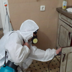 Дезинфекция от муравьев в квартире в Люблино район метро Москвы